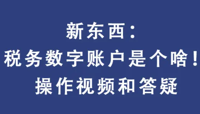 什么是電子發(fā)票服務(wù)平臺(tái)稅務(wù)數(shù)字賬戶？